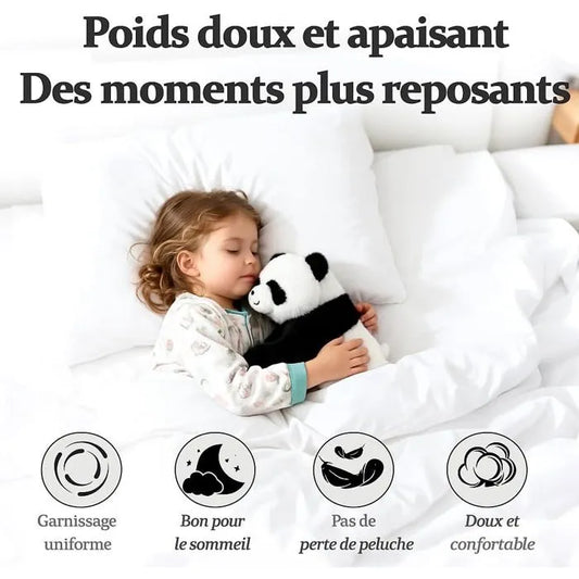 EN SAVOIR DAVANTAGE SUR : LES PRODUITS LESTÉS